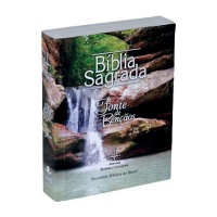 Bíblia Sagrada fonte de benção (Código: 3172)